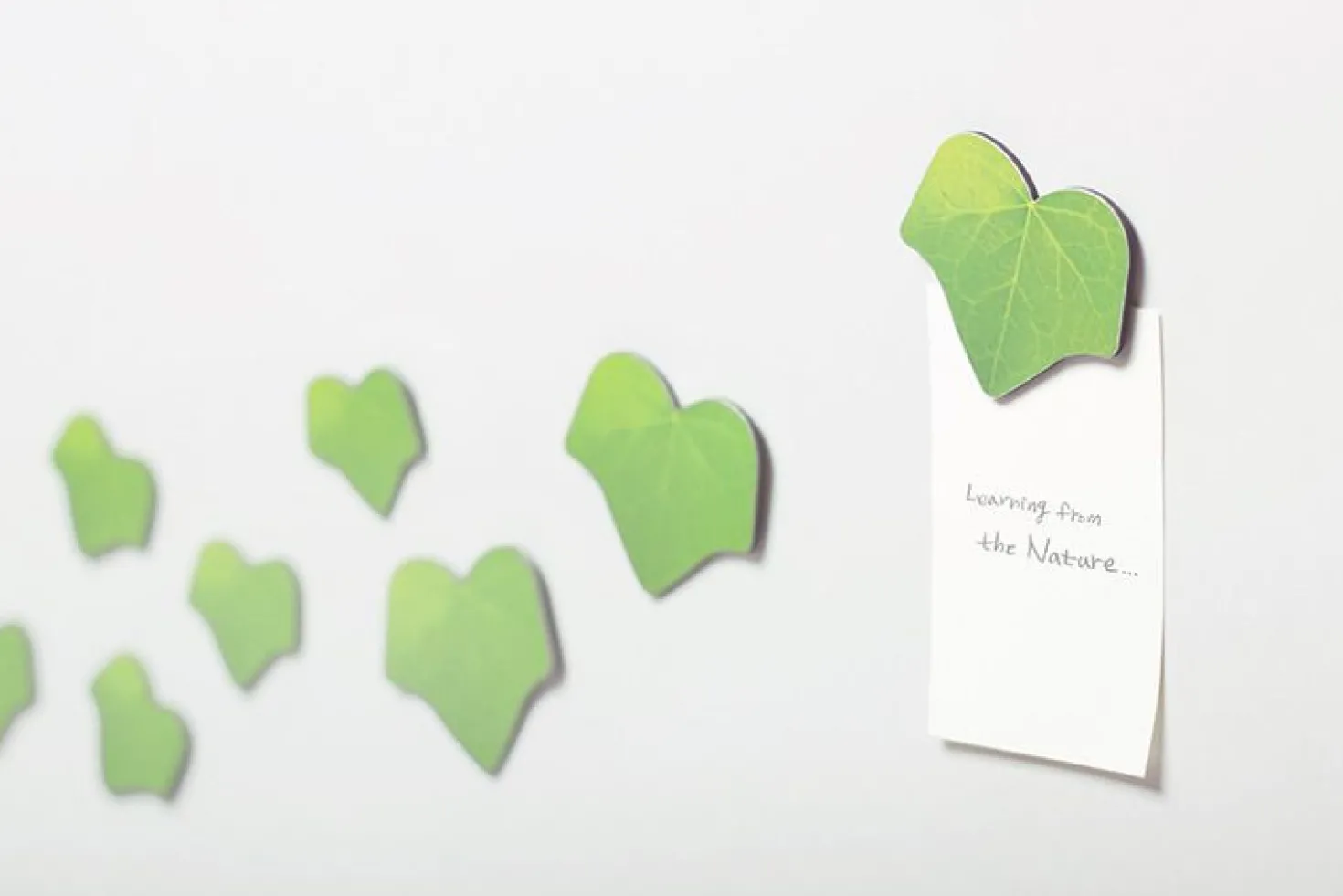Leaf Magnet Set