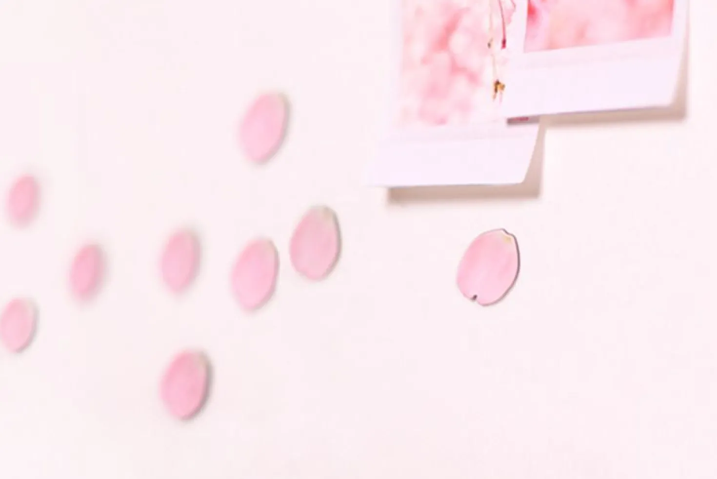 Leaf Magnet Set