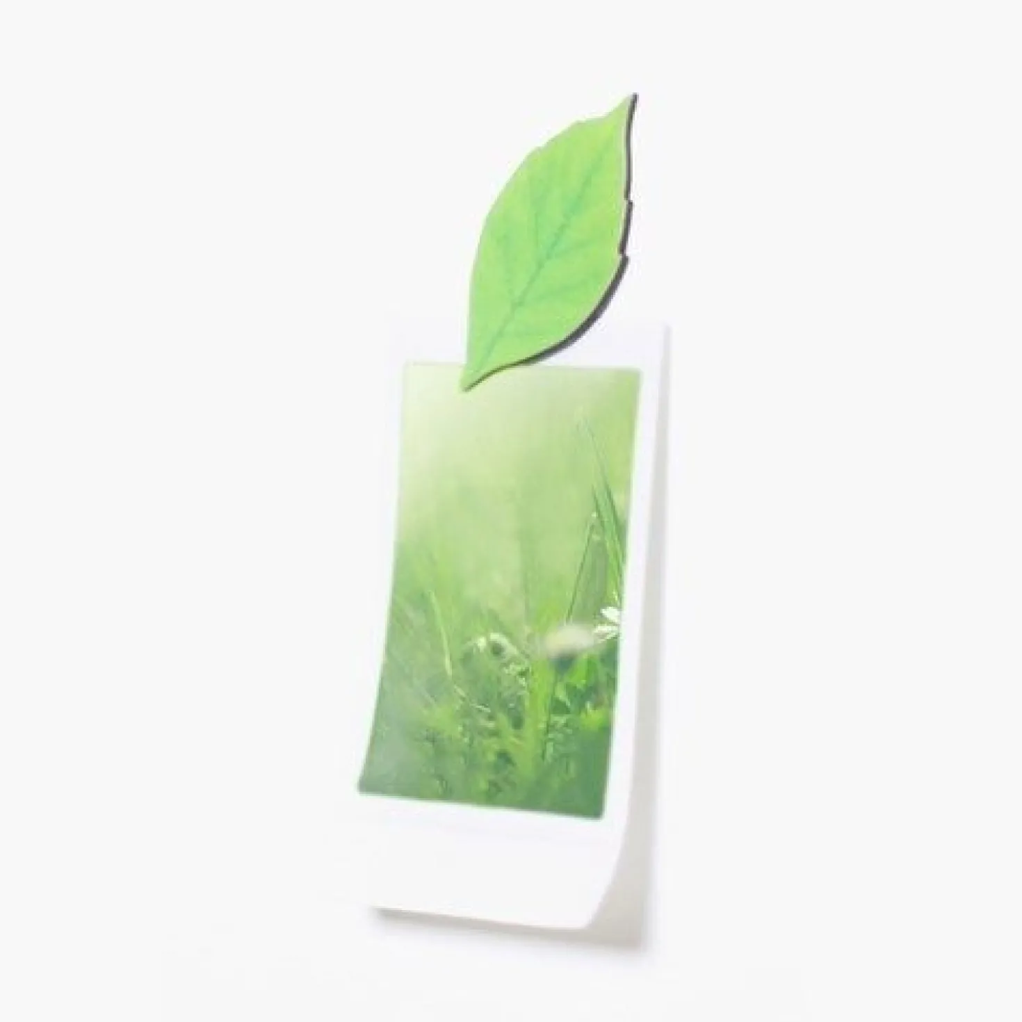 Leaf Magnet Set