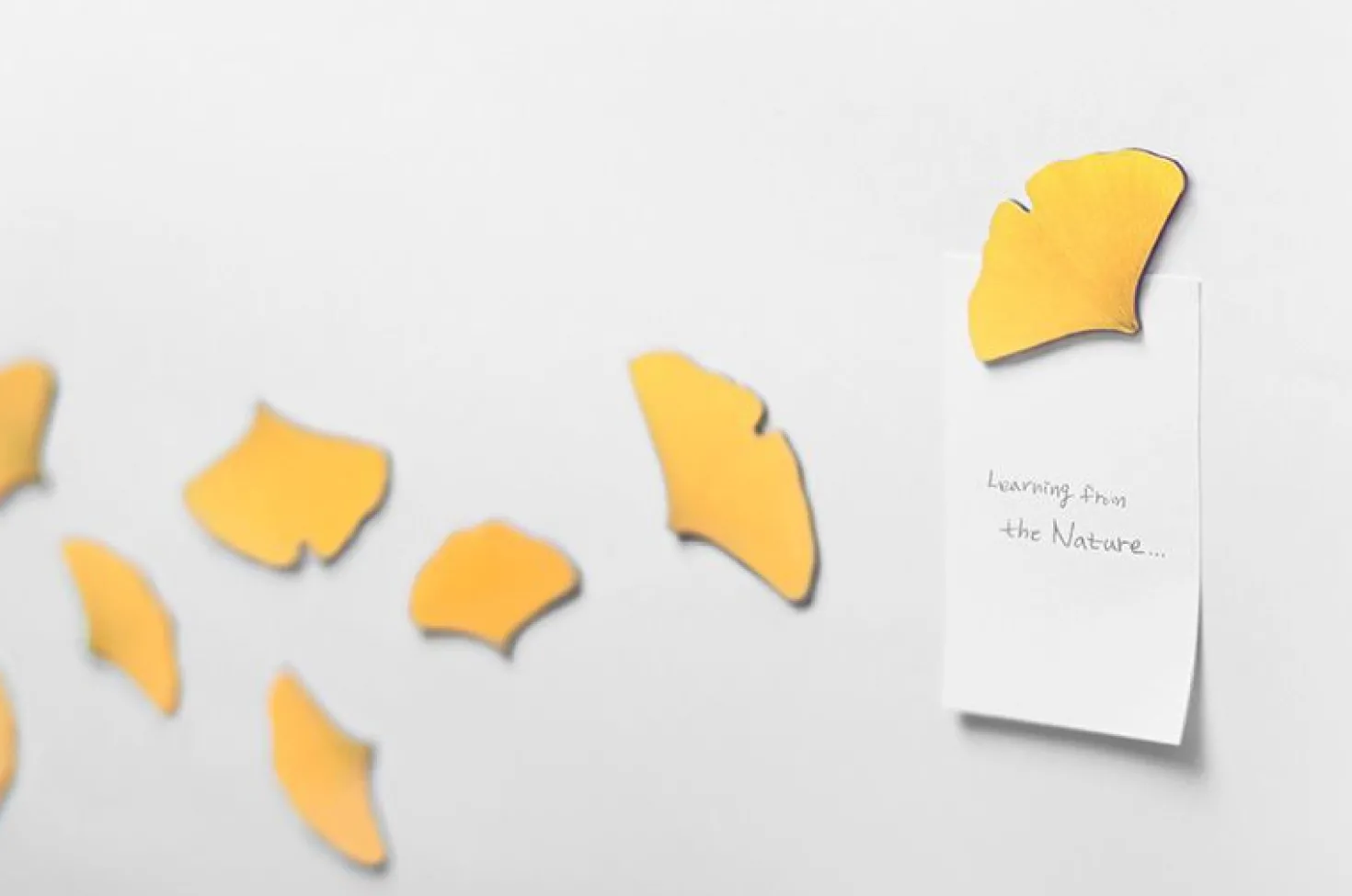 Leaf Magnet Set