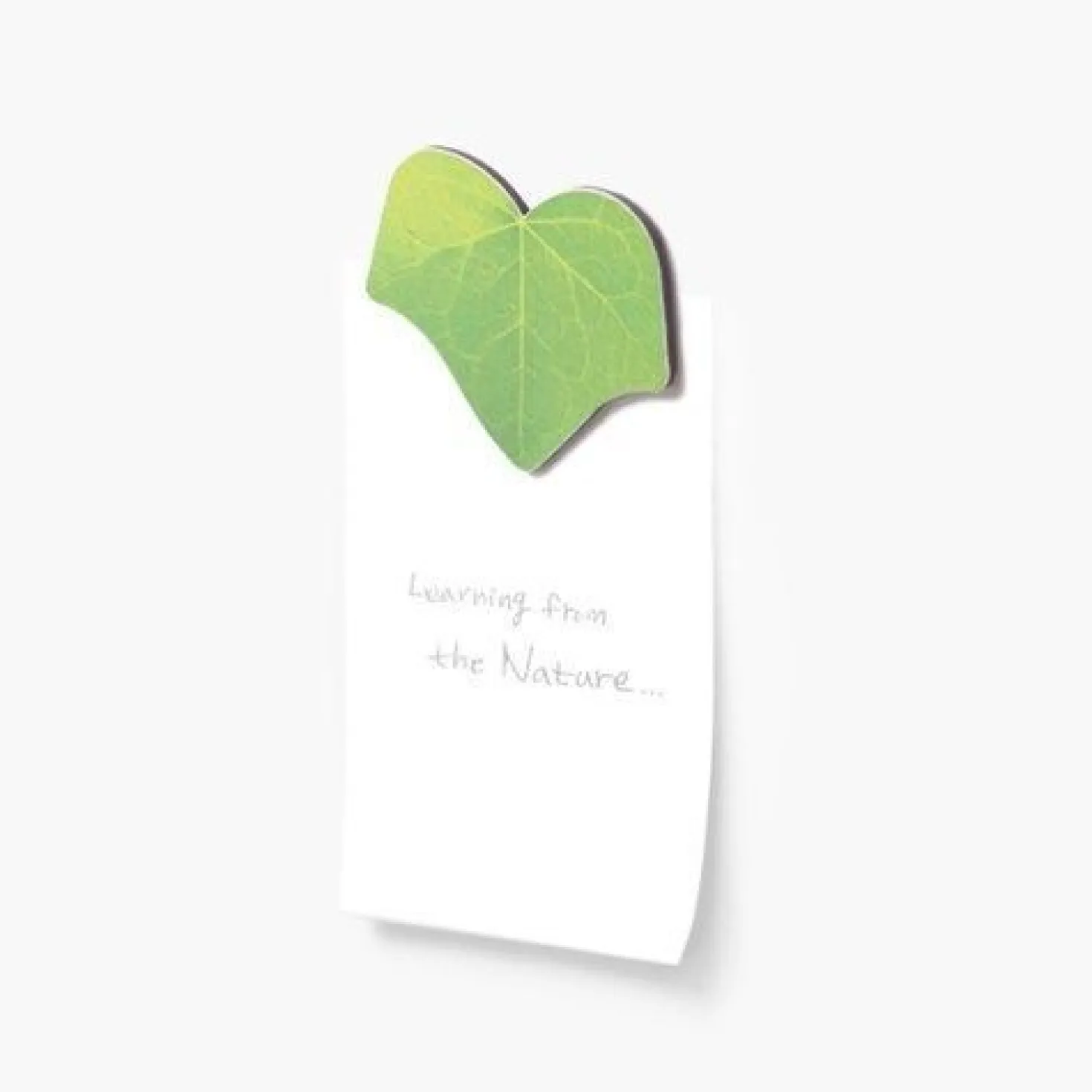Leaf Magnet Set