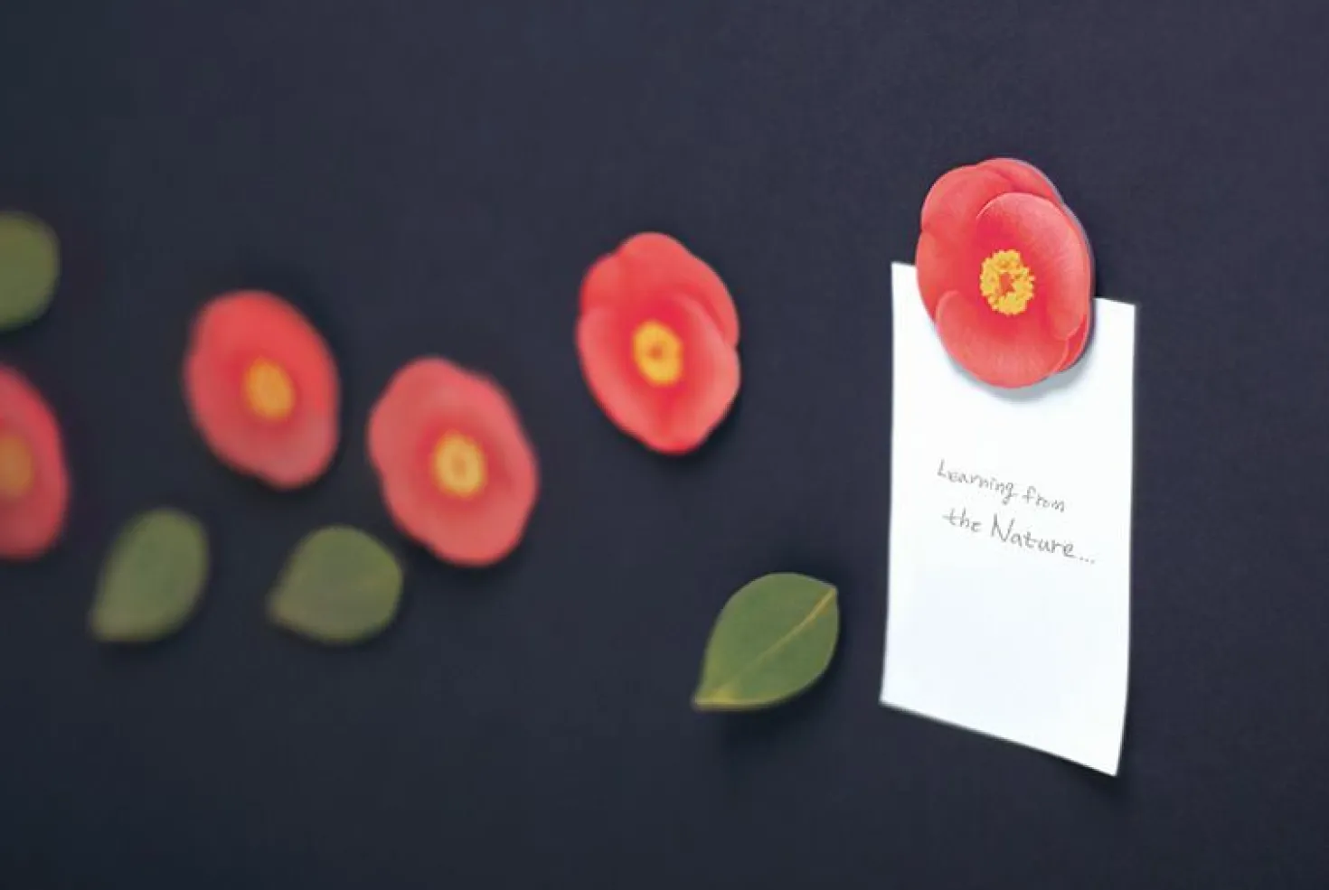 Leaf Magnet Set