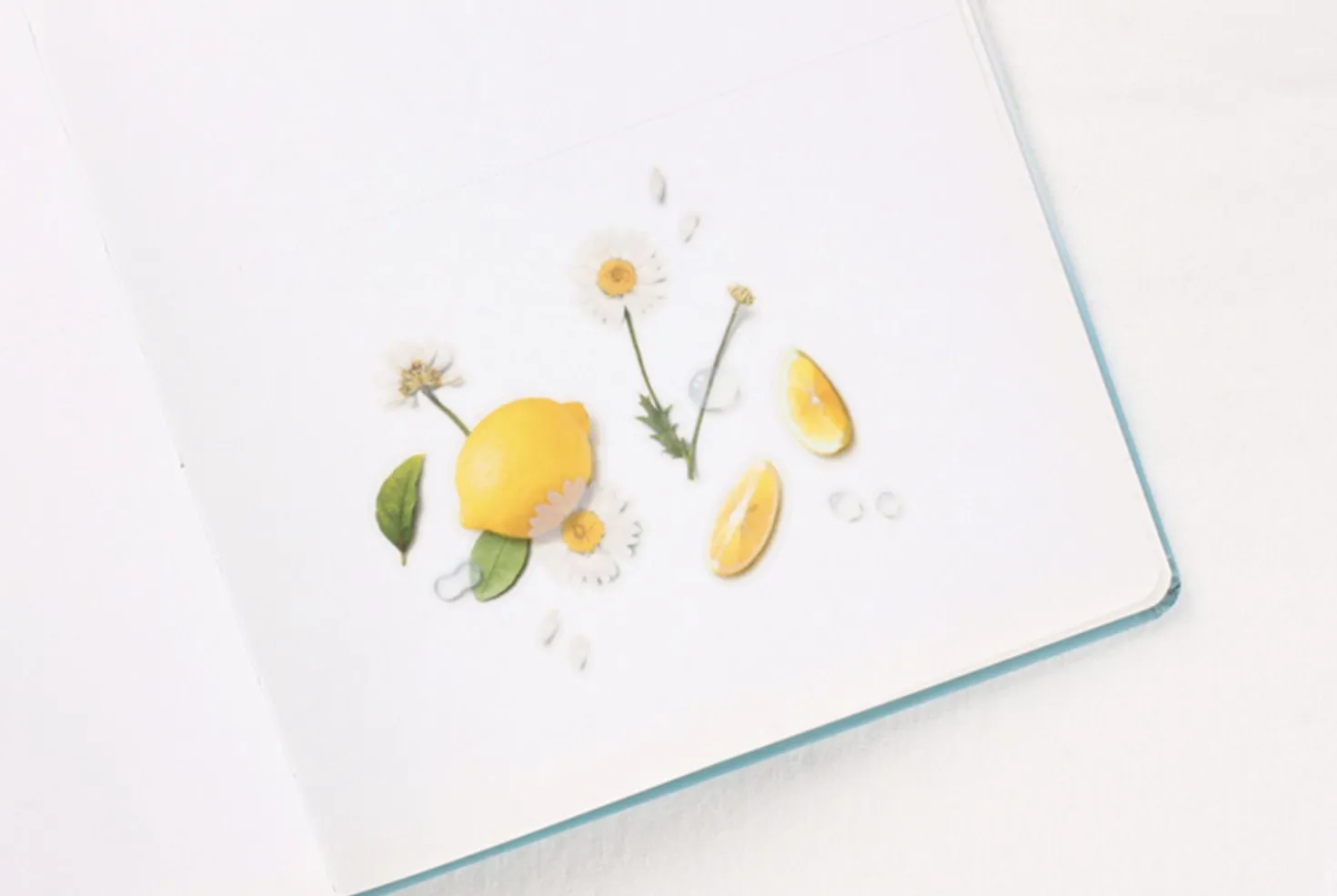 Lemon Pressed Fruit Sticker