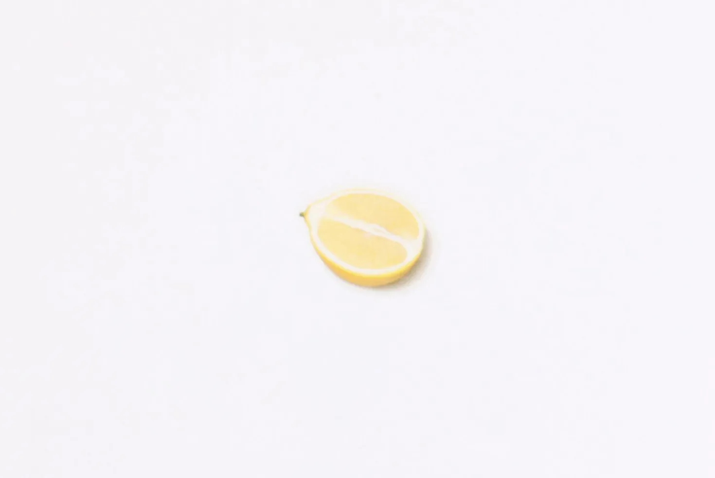 Lemon Pressed Fruit Sticker