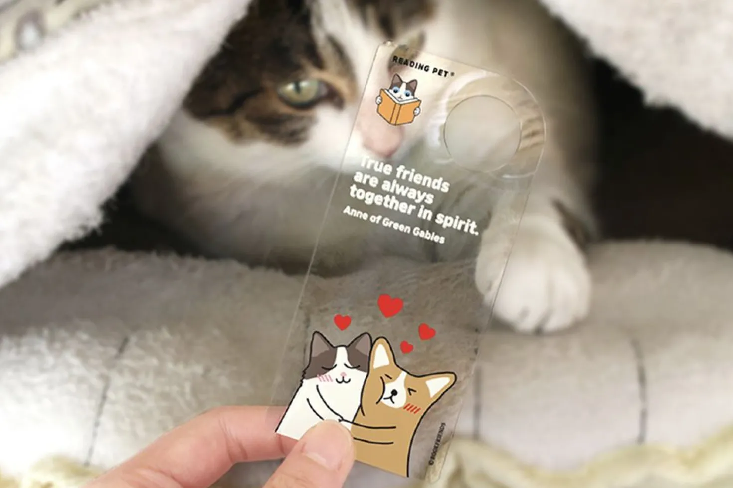 Let's Read Transparent Bookmark v2