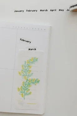 Lettering Months Masking Tape
