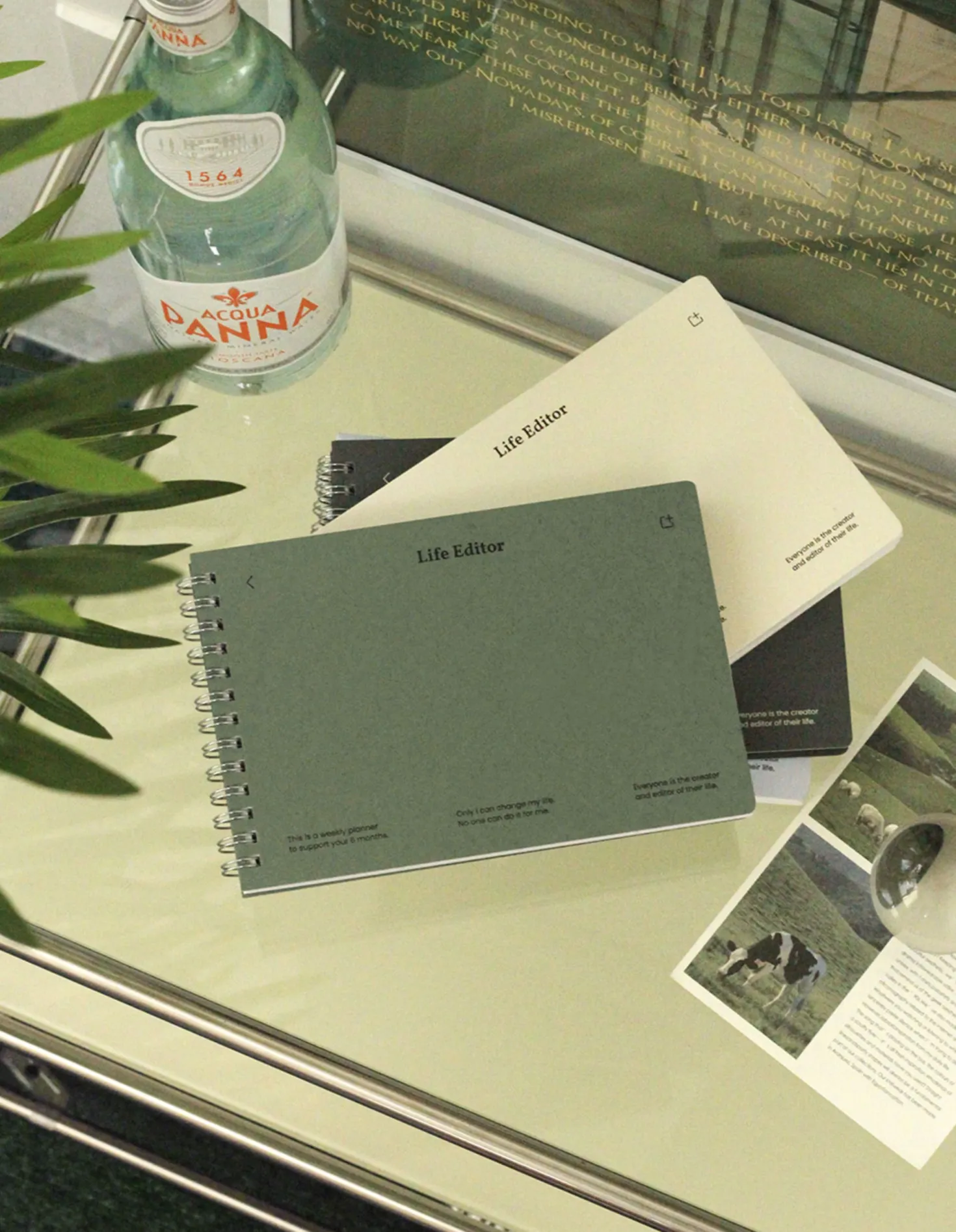 Life Editor Semi Year Planner