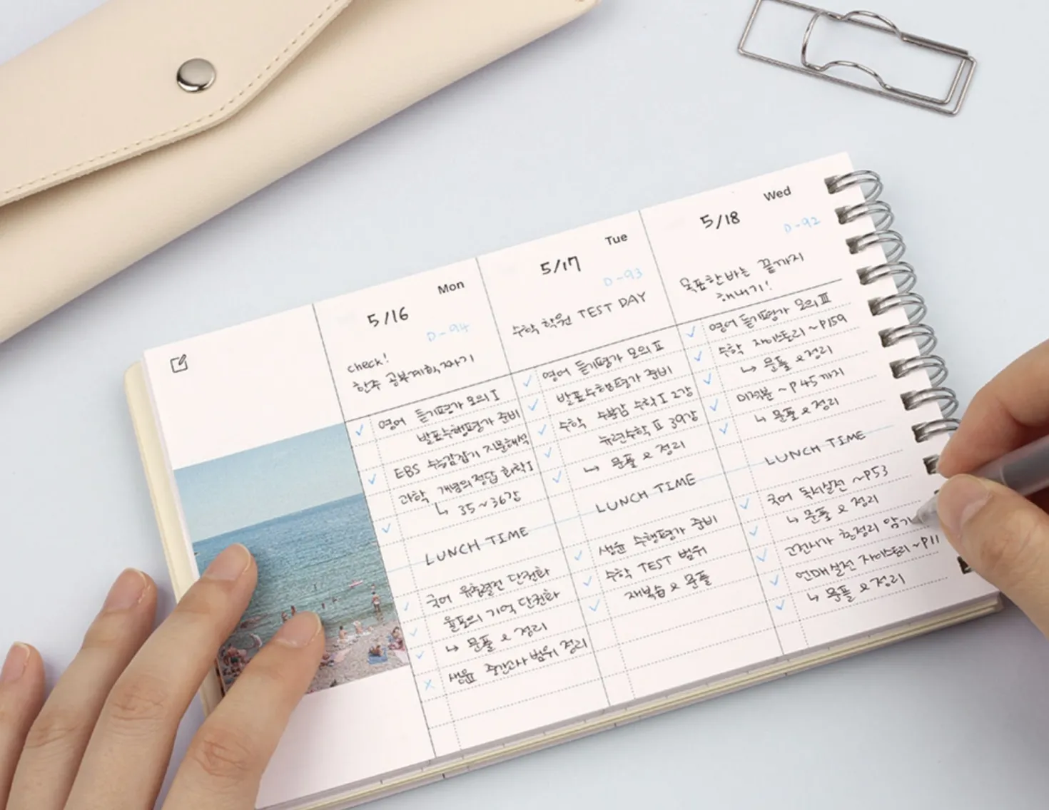Life Editor Semi Year Planner