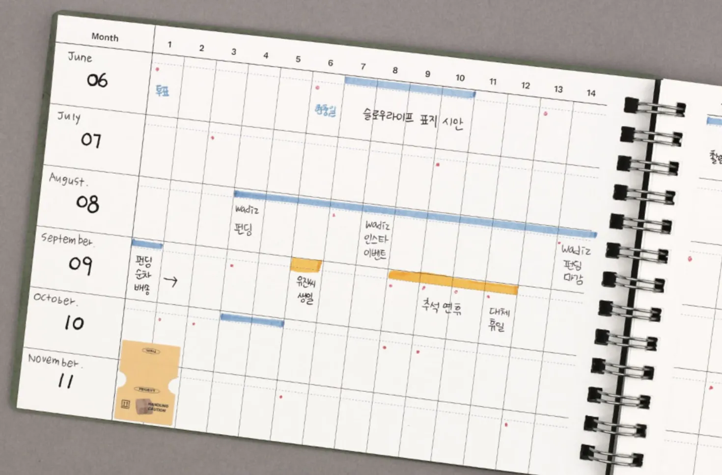 Life Editor Semi Year Planner