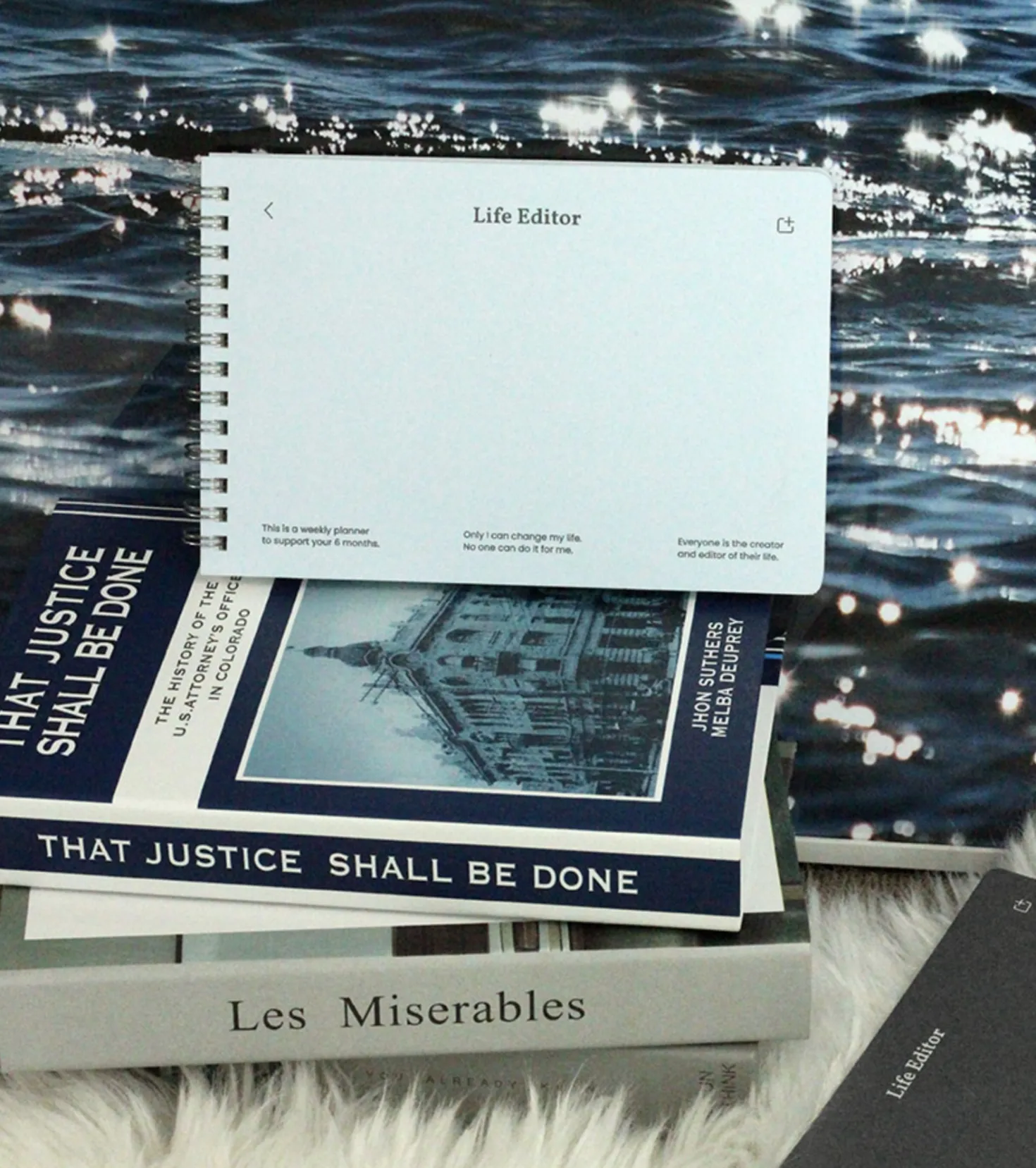 Life Editor Semi Year Planner