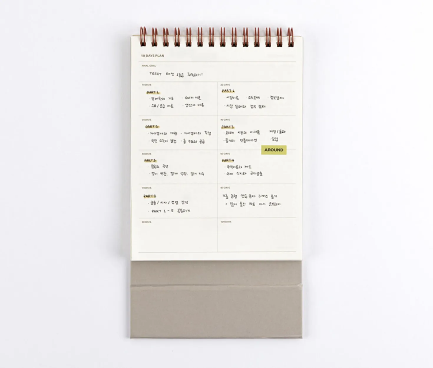 Life & Pieces 100 Day Standing Planner