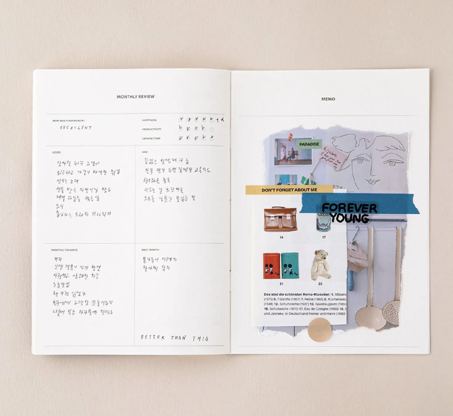 Life & Pieces Your Planner (1 Month)