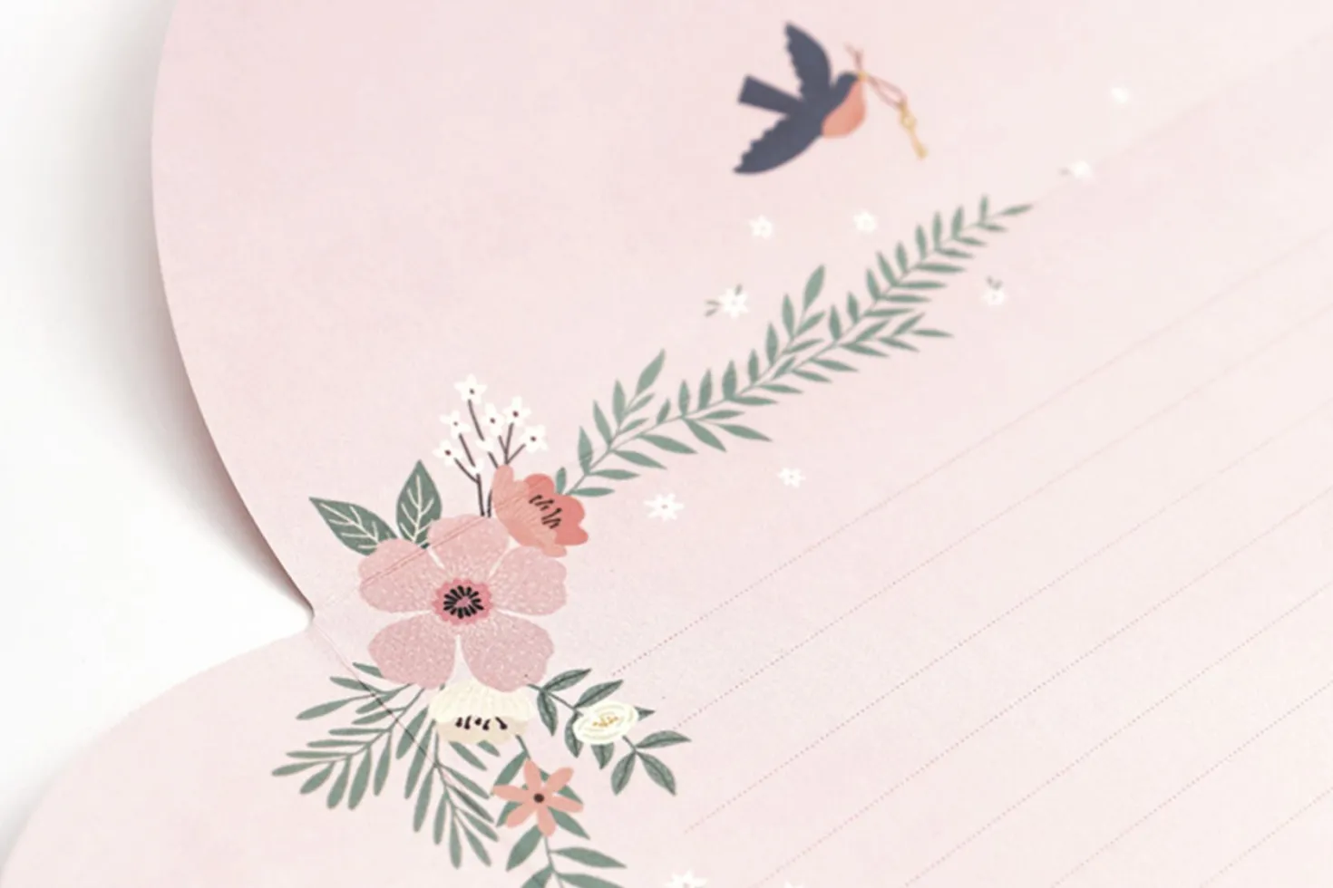 Literature Folding Letter & Bookmark Set