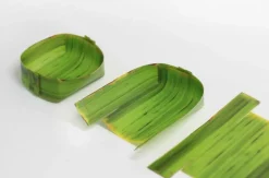 Long Banana Leaf Tray