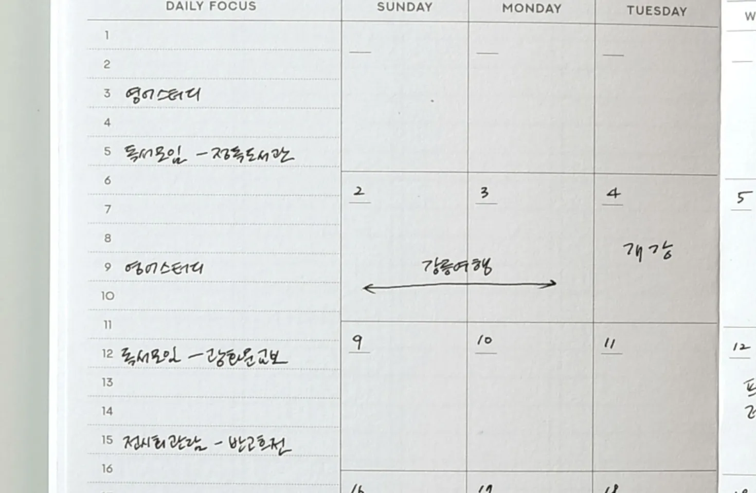 Long-term Routine Planner