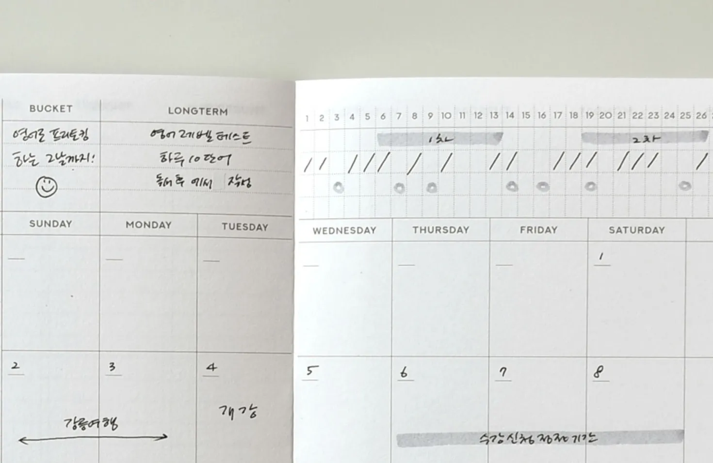 Long-term Routine Planner