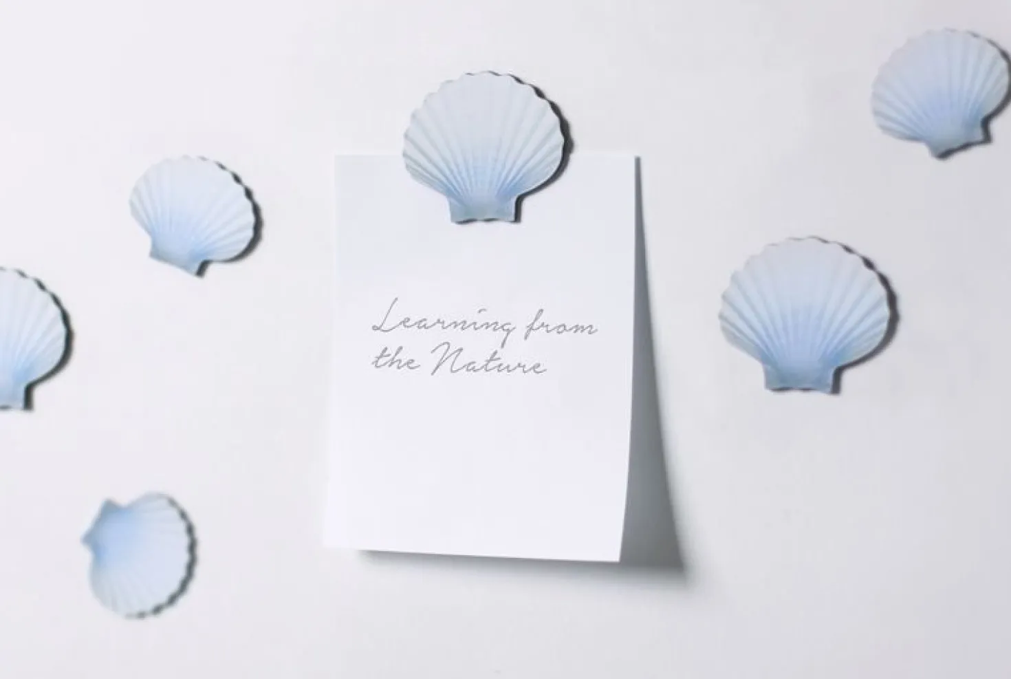 Magnet Set