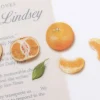 Mandarin Orange Pressed Fruit Sticker