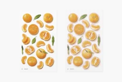 Mandarin Orange Pressed Fruit Sticker