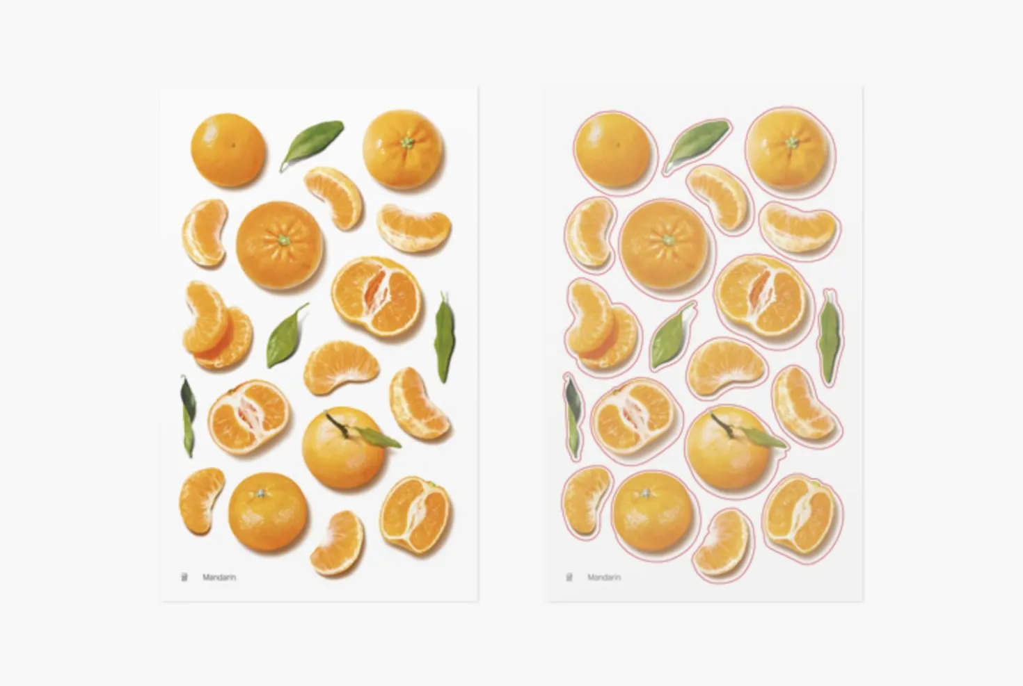 Mandarin Orange Pressed Fruit Sticker