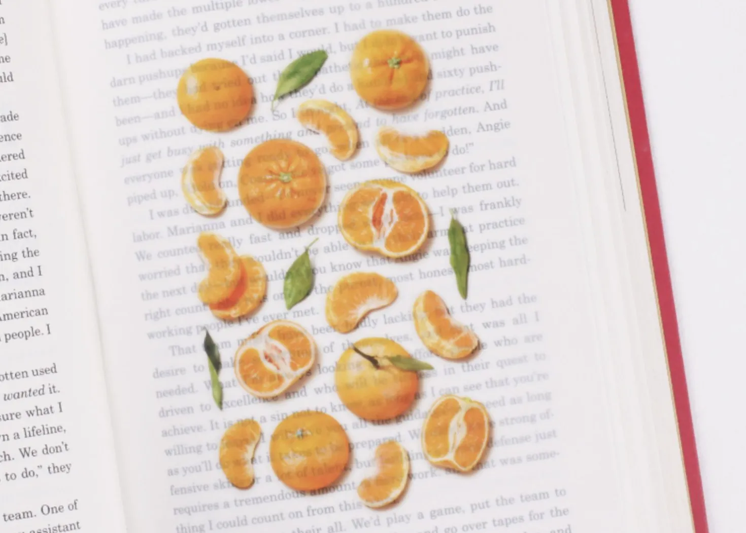 Mandarin Orange Pressed Fruit Sticker