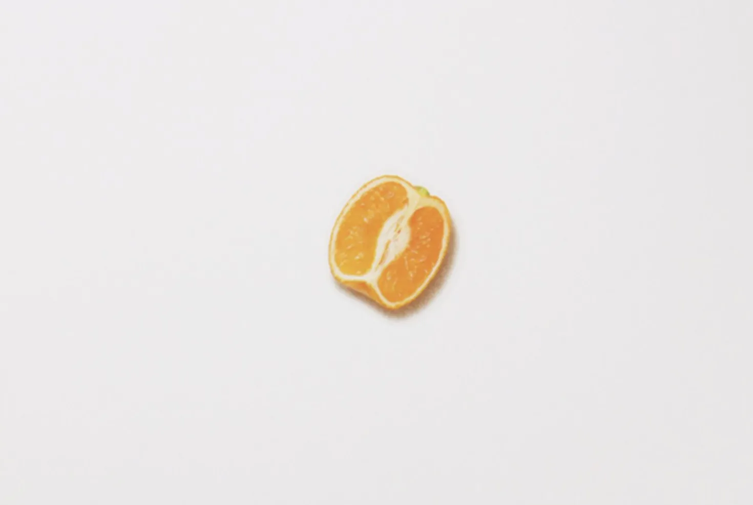Mandarin Orange Pressed Fruit Sticker