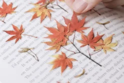 Maple Pressed Flower Sticker
