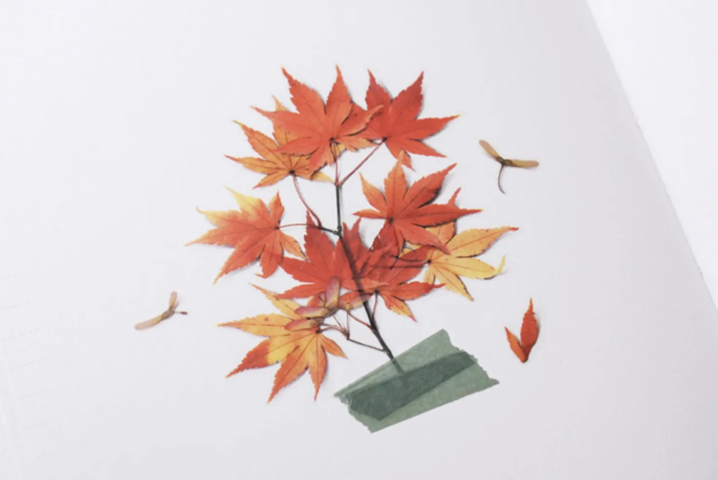 Maple Pressed Flower Sticker