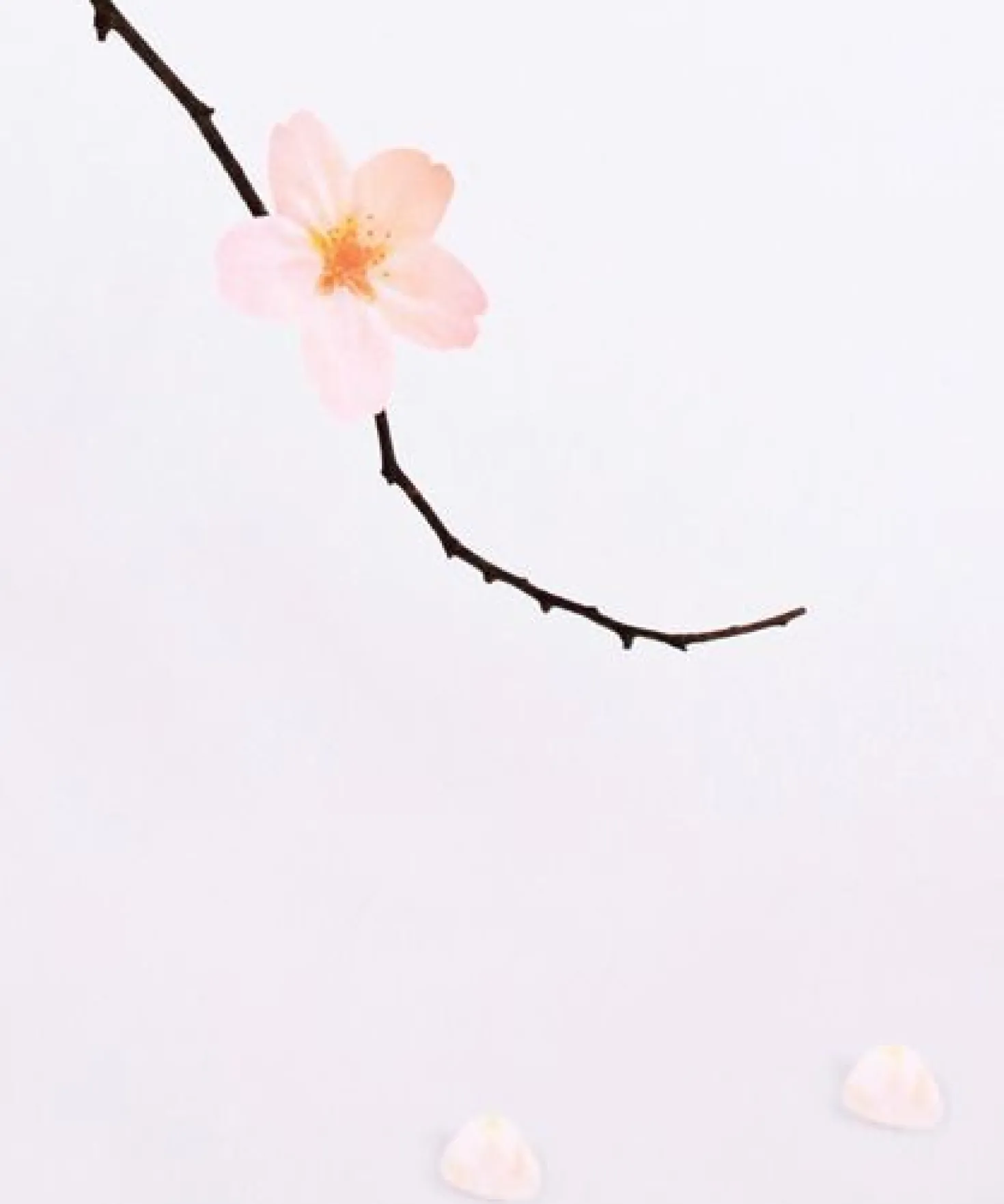 Medium Cherry Blossom Sticky Note
