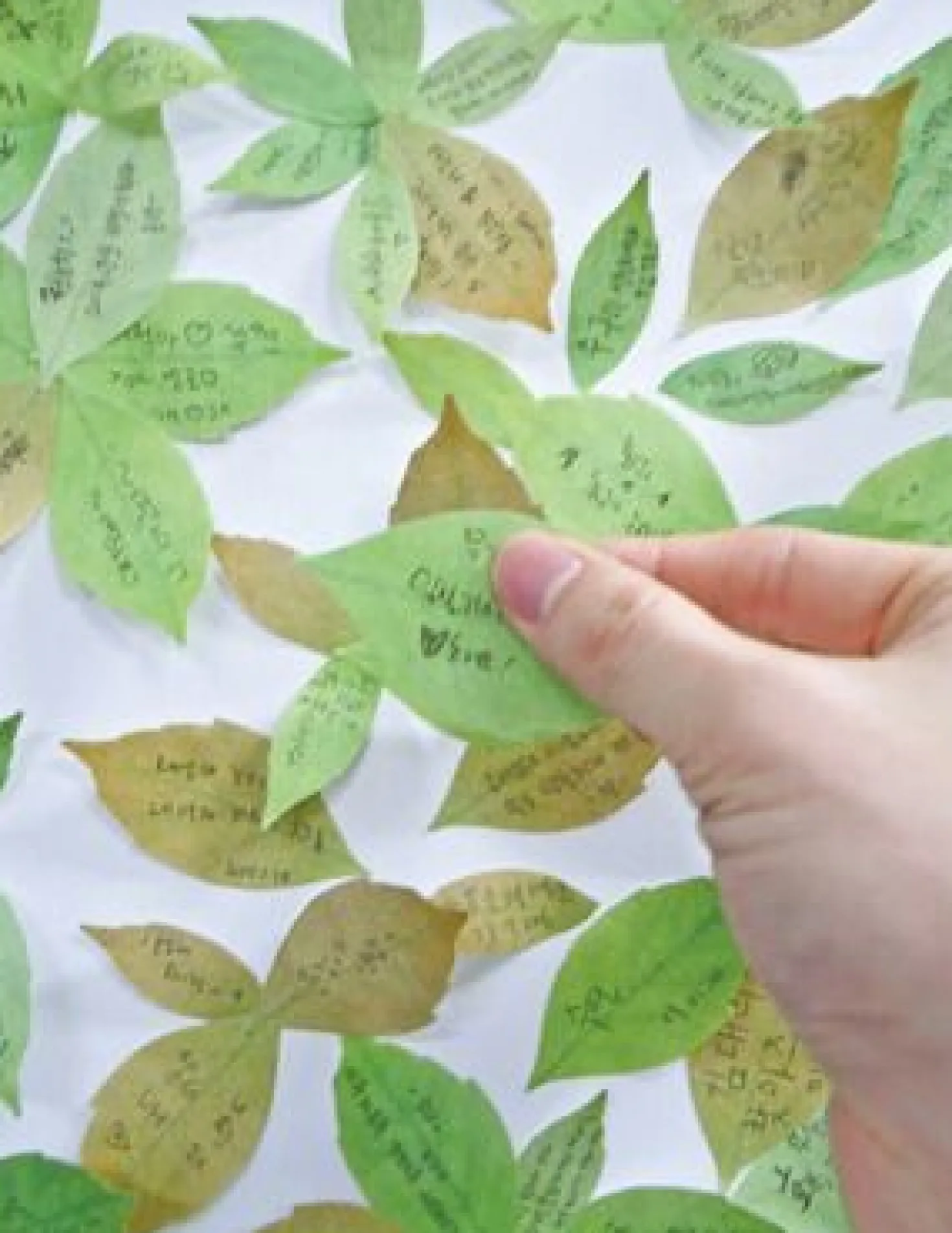 Medium Leaf Sticky Note