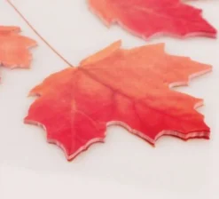 Medium Maple Leaf Sticky Note