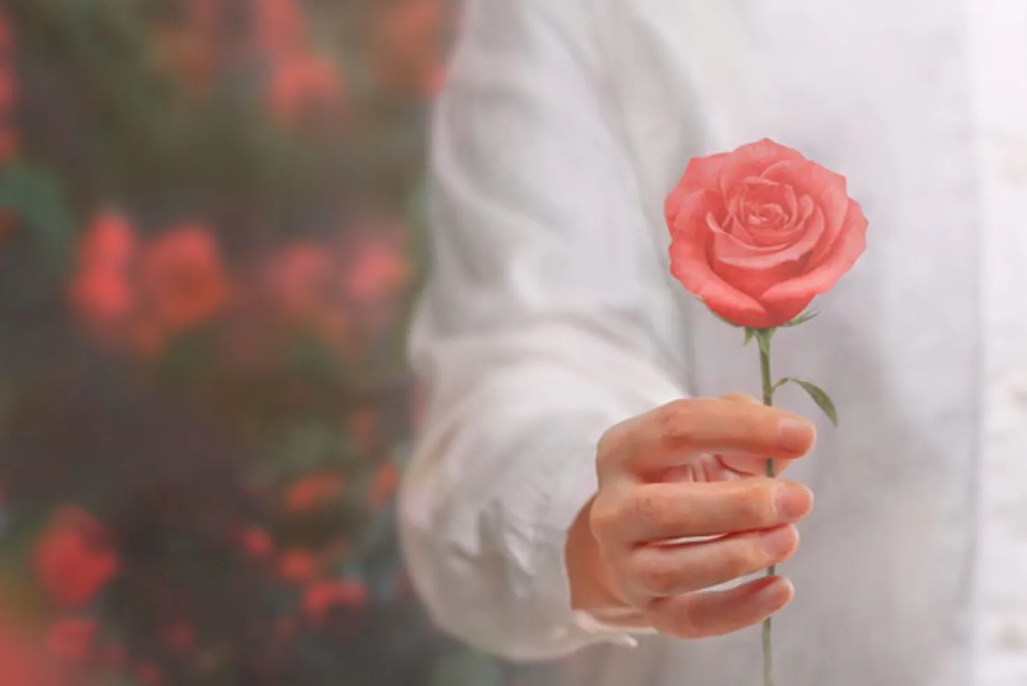 Medium Rose Sticky Note