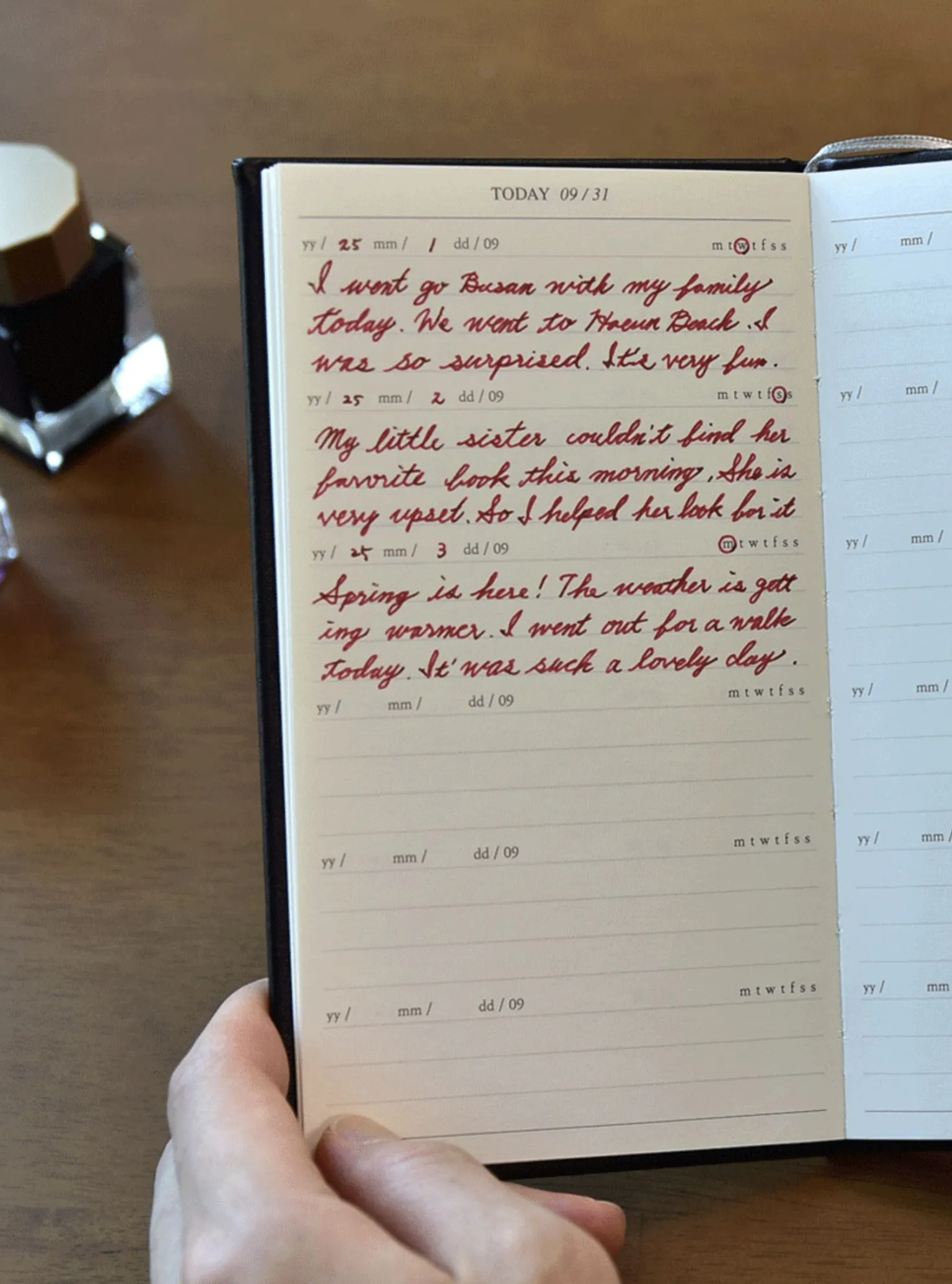 Mind Door Fountain Friendly Diary Journal