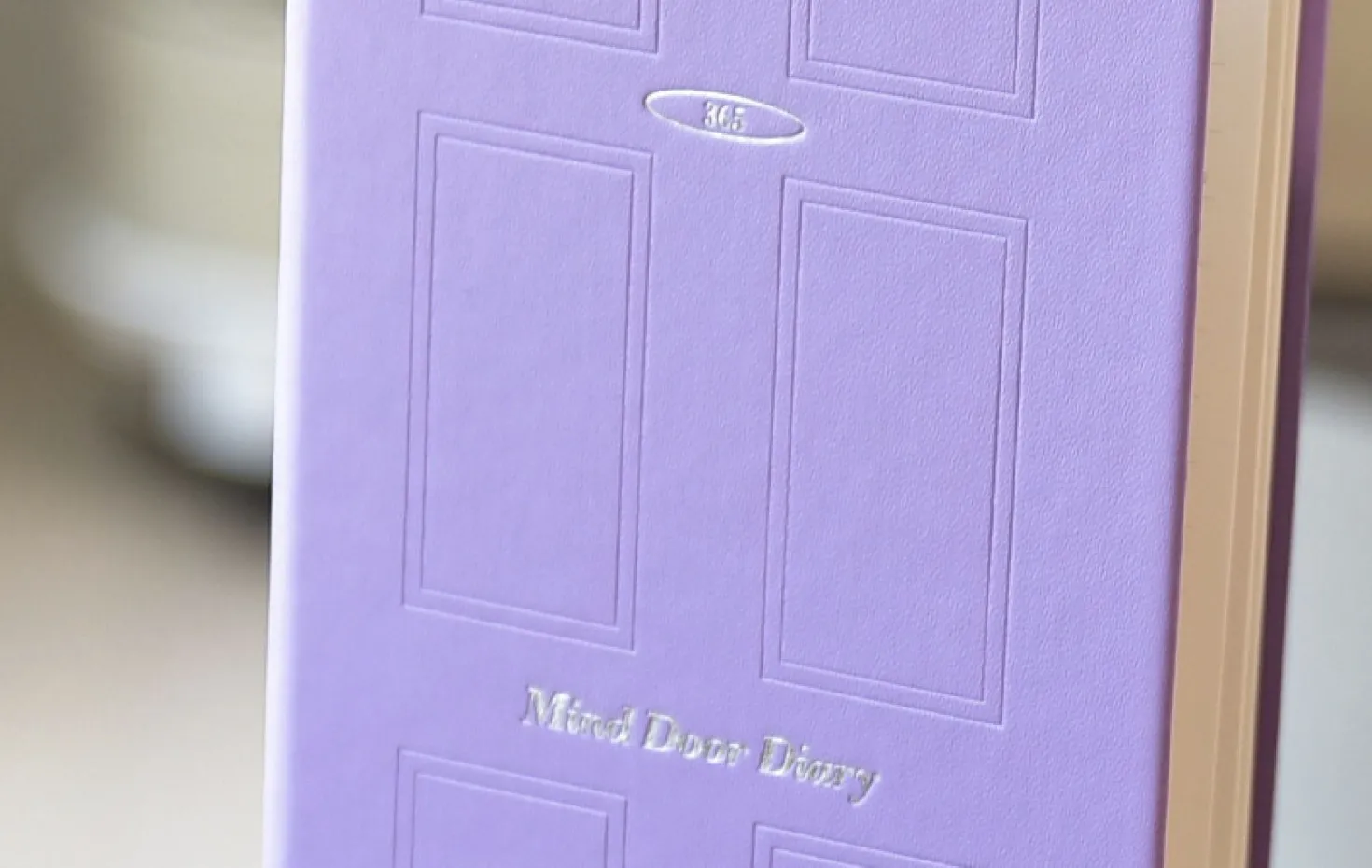 Mind Door Fountain Friendly Diary Journal
