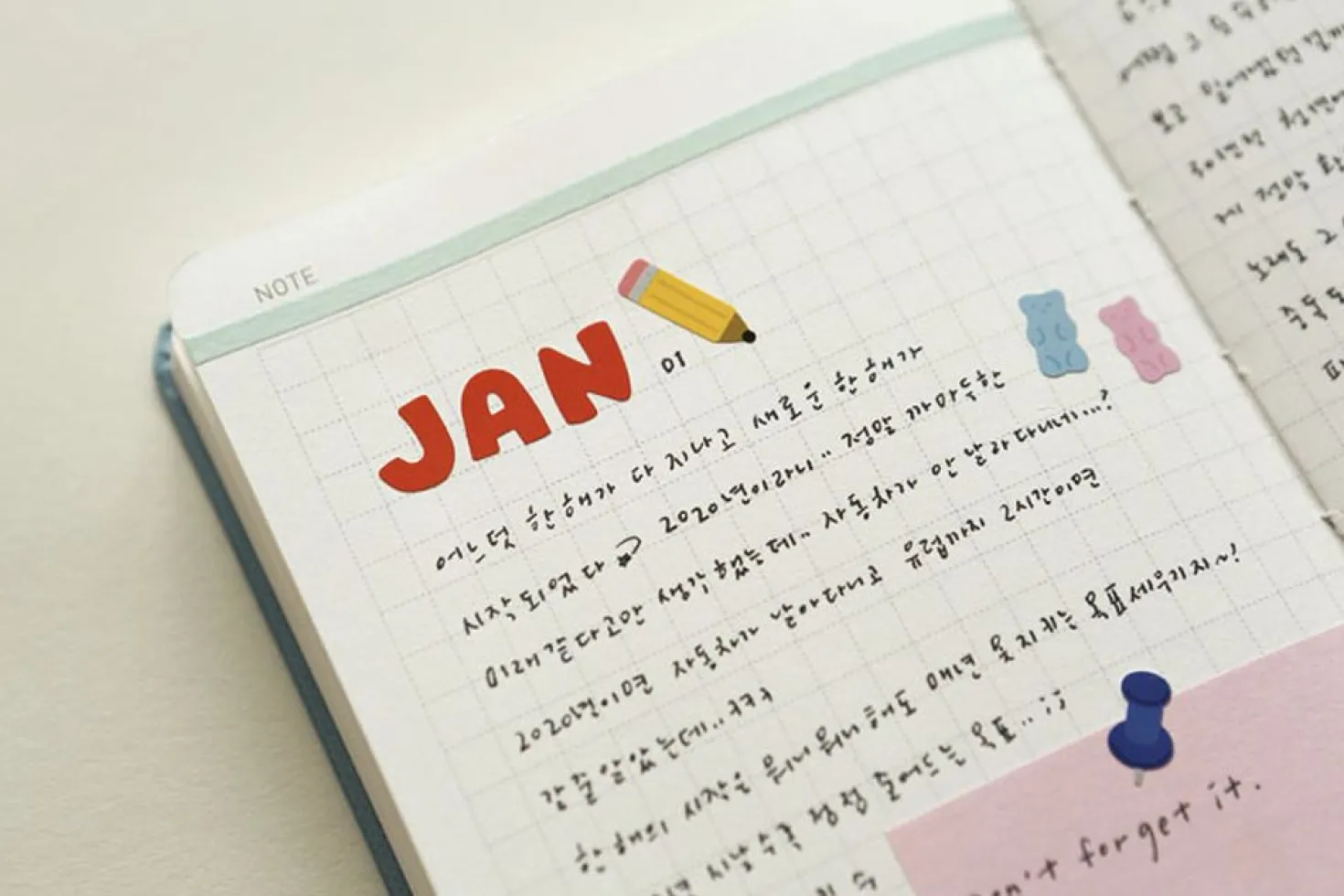 Mini Diary Removable Sticker v1