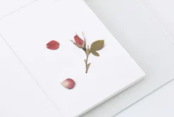 Mini Rose Pressed Flower Sticker