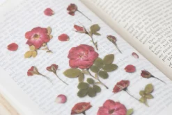 Mini Rose Pressed Flower Sticker
