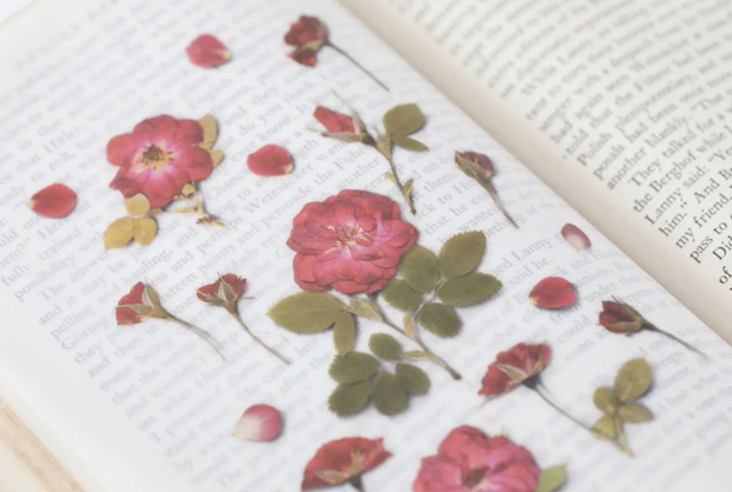 Mini Rose Pressed Flower Sticker