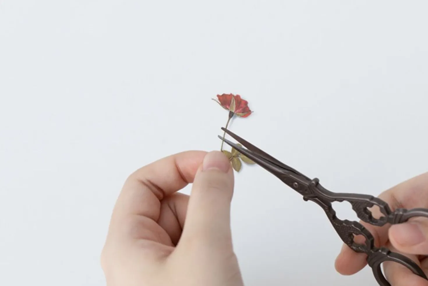 Mini Rose Pressed Flower Sticker