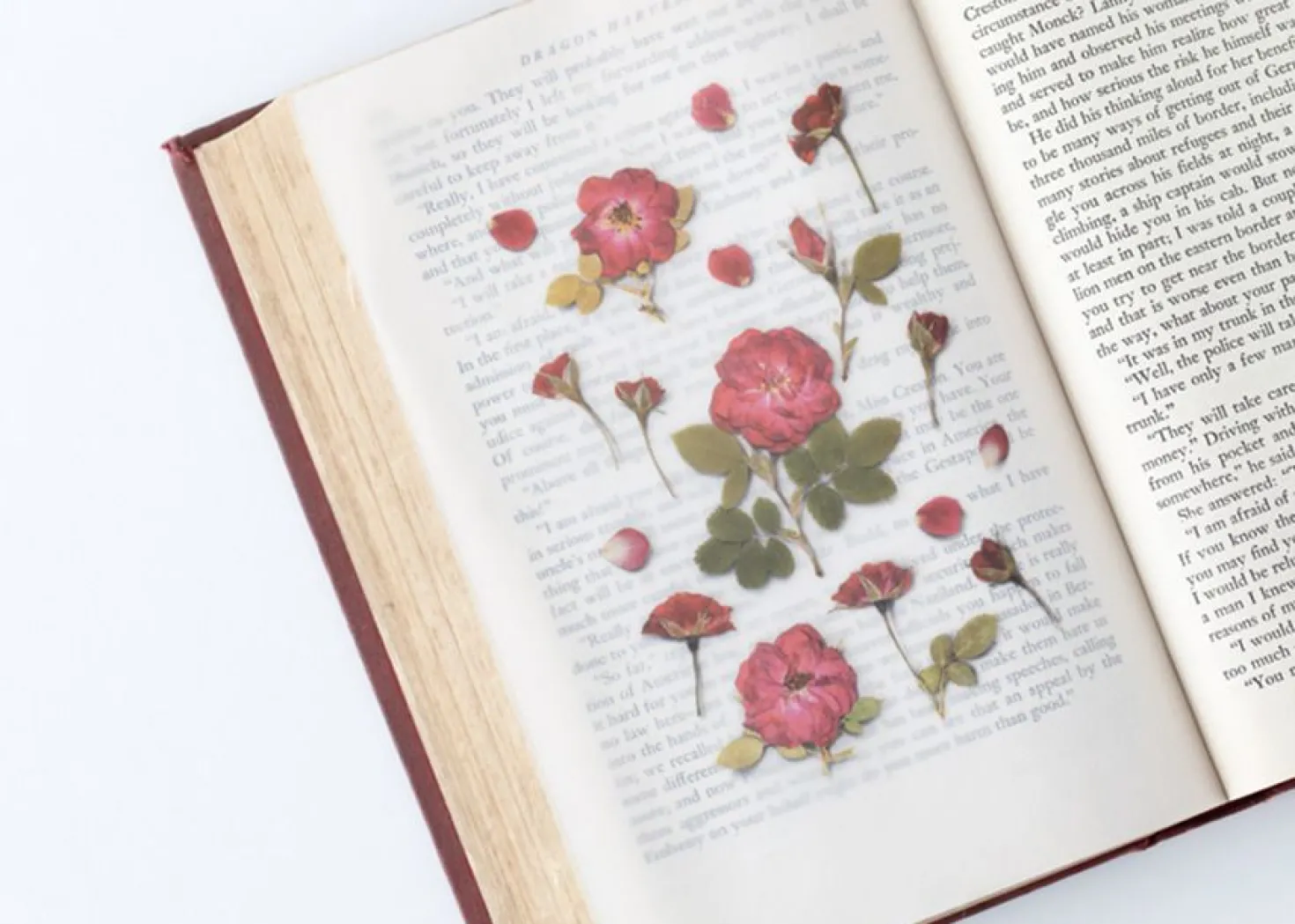 Mini Rose Pressed Flower Sticker