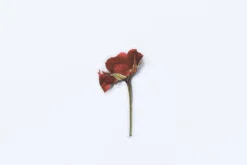 Mini Rose Pressed Flower Sticker