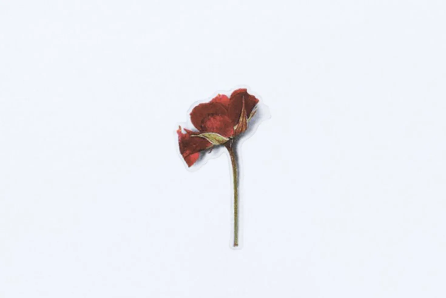 Mini Rose Pressed Flower Sticker