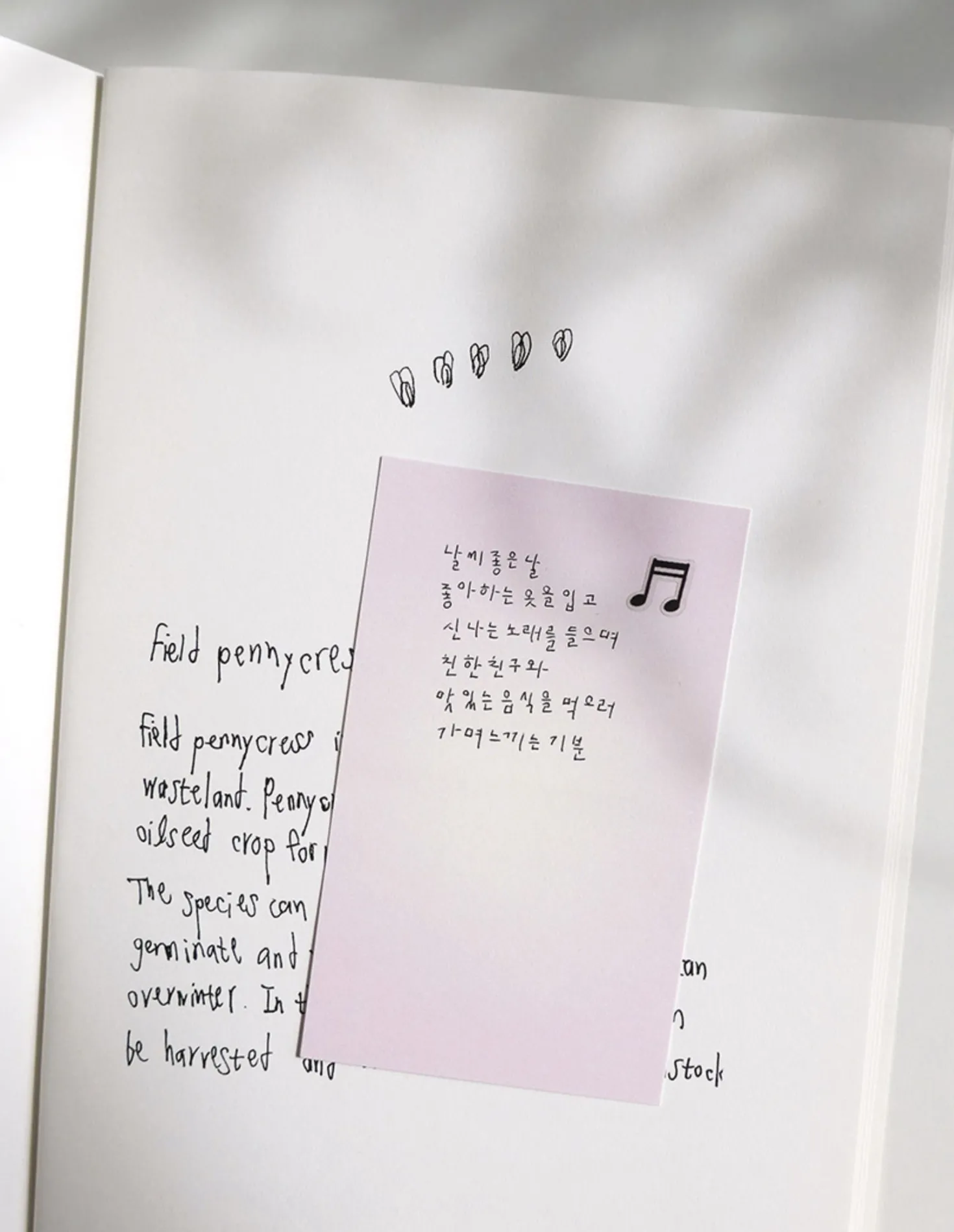 Mint & Pink Daily Plan Sticky Note