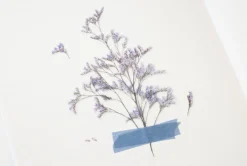 Misty Blue Pressed Flower Sticker