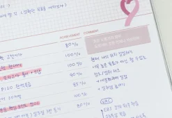 6 Month Plan B Study Planner