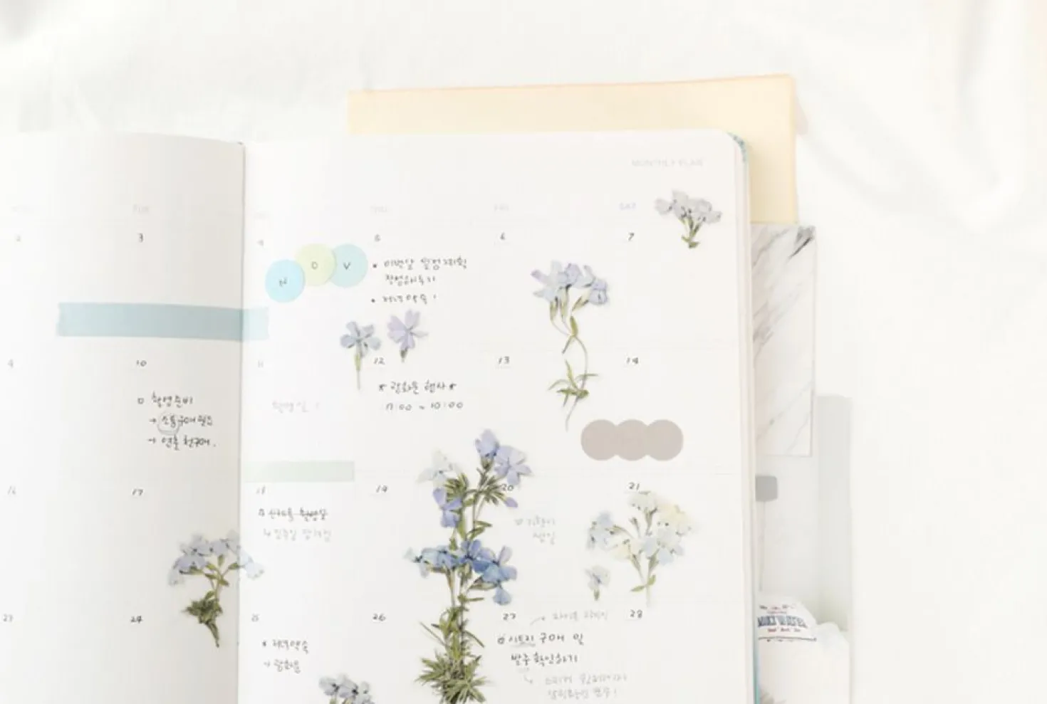 Moss Phlox Pressed Flower Sticker