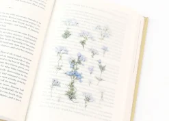 Moss Phlox Pressed Flower Sticker