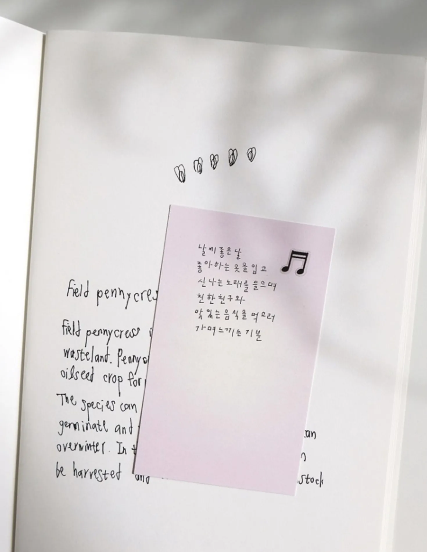Music Note Deco Sticker