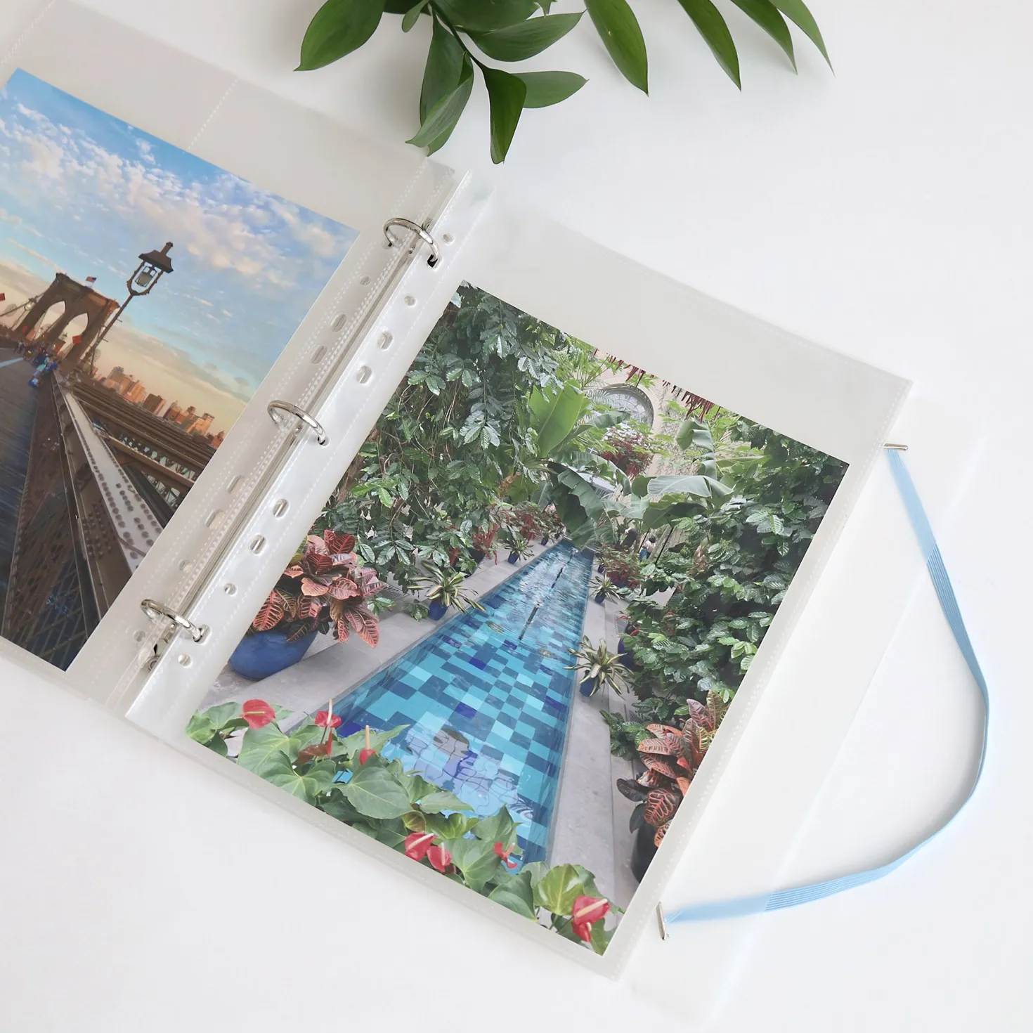 MYO Basic 3 Ring A4 Binder
