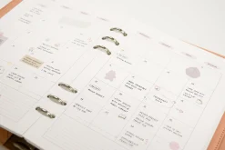 MYO Today 6 Ring A5 Planner Refill